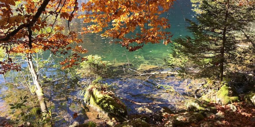 Edelweissprinz Herbst Akkordeon München
