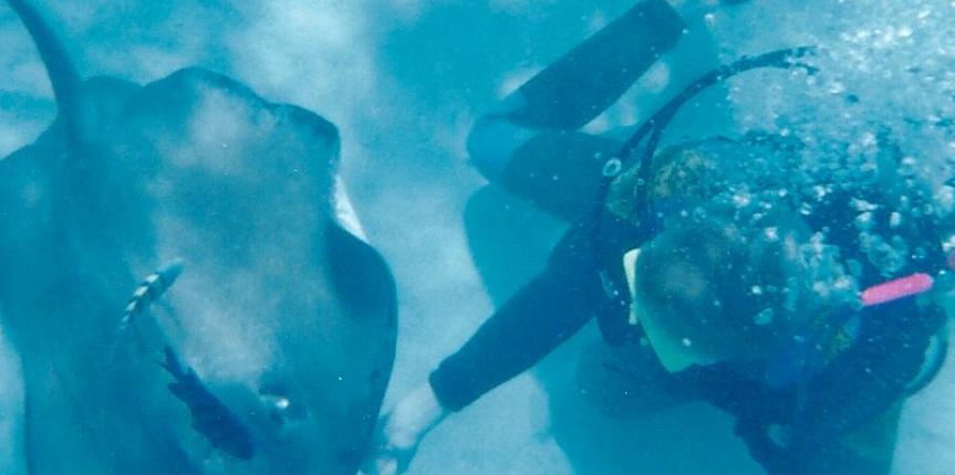 Cayman Islands 1995