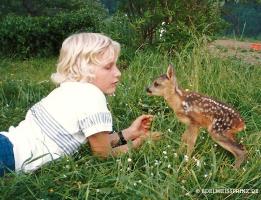 Der kleine Prinz