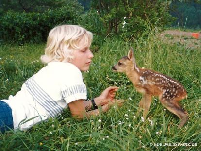 Der kleine Prinz