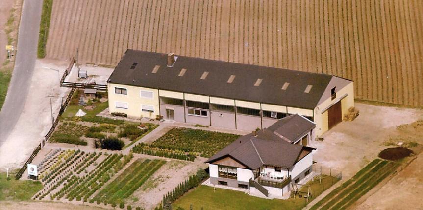 Erdbeerkulturen Guhr 1983